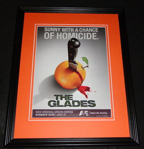 The Glades 2010 A&E Framed 11x14 ORIGINAL Advertisement Matt Passmore