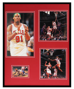 Dennis Rodman 1995 Chicago Bulls Framed 16x20 Photo Collage C