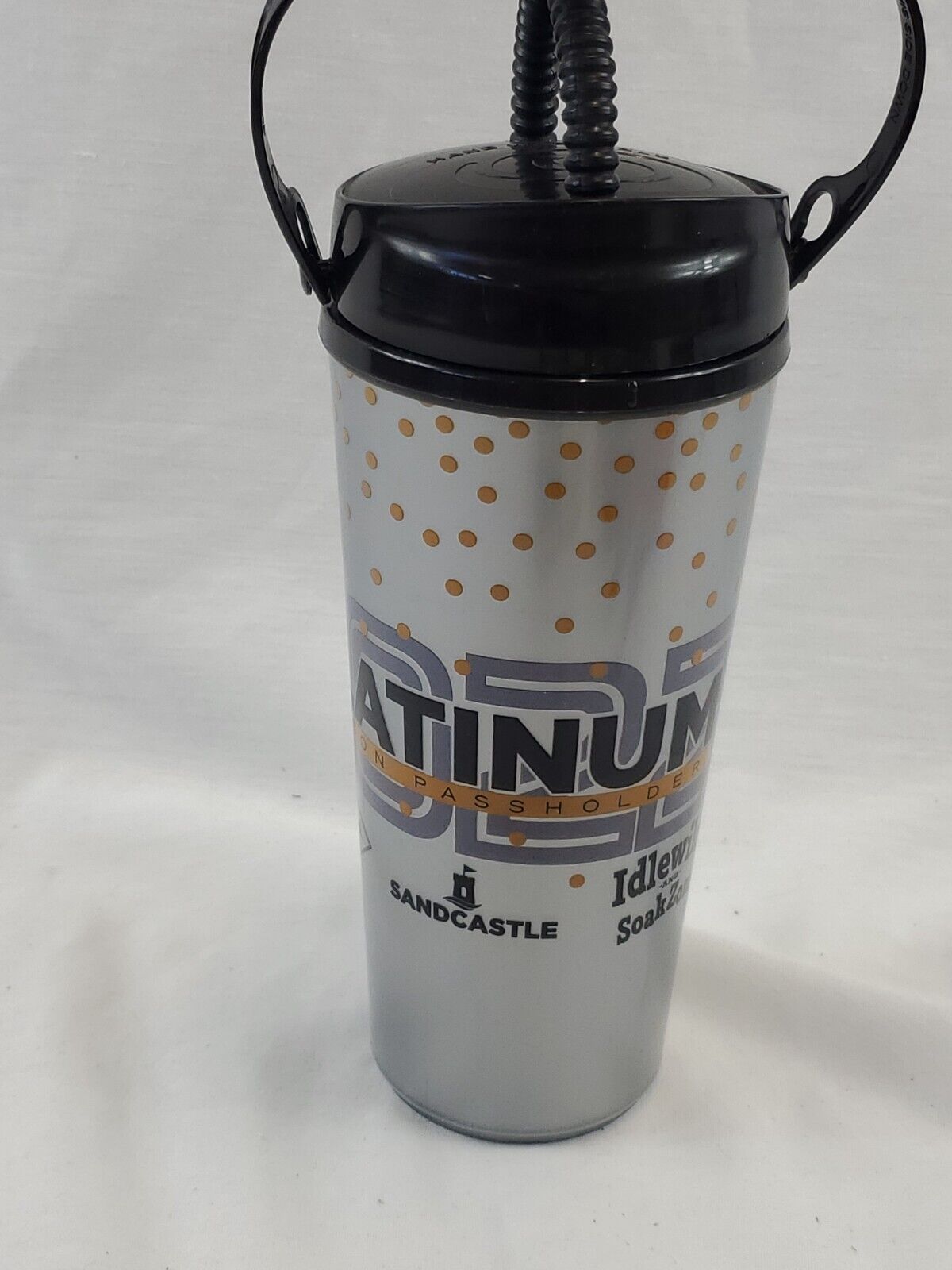 2022 Pittsburgh Kennywood Sandcastle Idlewild Platinum Pass Insulated Cup