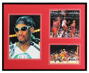 Dennis Rodman 1995 Chicago Bulls Framed 16x20 Photo Collage B