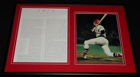 1975 World Series Reds vs Red Sox Framed 12x18 Photo Display 