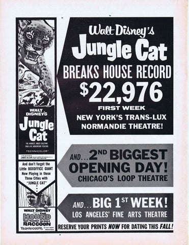 Walt Disney Jungle Cat 1960 ORIGINAL Vintage 9x12 Industry Ad 