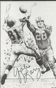 Yale Lary Signed Hall of Fame Postcard Lions