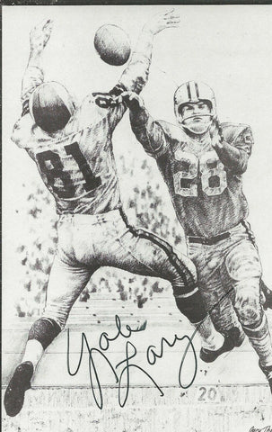 Yale Lary Signed Hall of Fame Postcard Lions