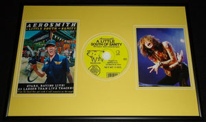 Aerosmith Framed 12x18 A Little South of Sanity CD & Poster Display