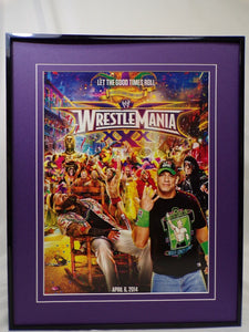 2014 WWE Wrestlemania XXX Mardi Gras 16x20 Framed Insight Poster Display 