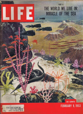 ORIGINAL Vintage Life Magazine February 9 1953 Miracle of Sea