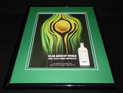 2008 Absolut World Citron Vodka 11x14 Framed ORIGINAL Vintage Advertisement