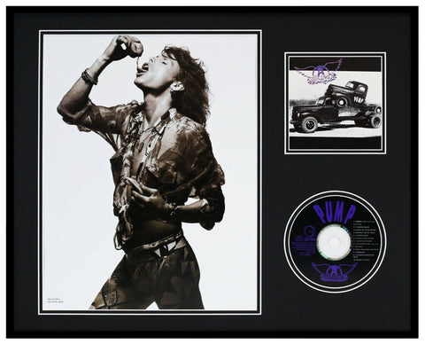 Steven Tyler Framed 16x20 Aerosmith Pump CD & Photo Set