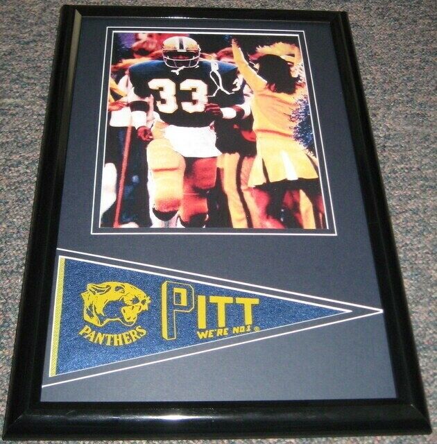 Tony Dorsett Pitt 11x17 Framed Pennant & Photo Display