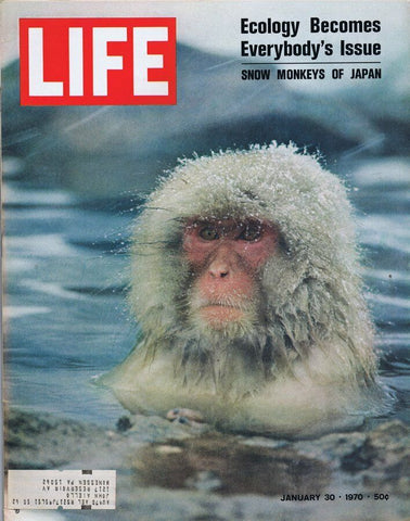 ORIGINAL Vintage Life Magazine January 30 1970 Snow Monkeys of Japan