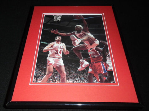 Dennis Rodman 1996 Bulls vs 76ers Framed 11x14 Photo Display 