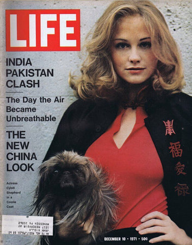 ORIGINAL Vintage Life Magazine December 10 1971 Cybill Shepherd