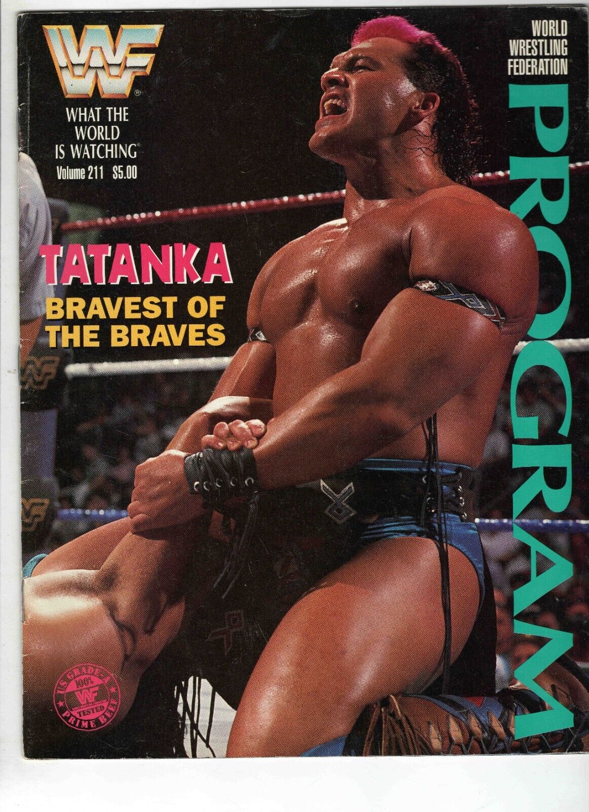 1993 WWF Program #211 Tatanka