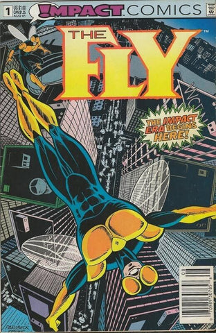 The Fly #1 ORIGINAL Vintage 1991 DC Comics 