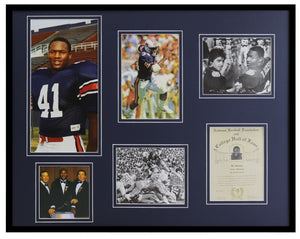 Bo Jackson Framed 16x20 Photo Collage Auburn Tigers