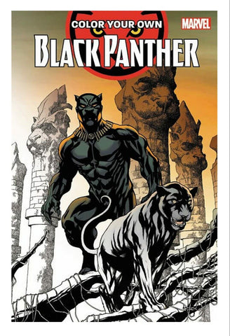 ORIGINAL 2017 Color Your Own Black Panther Coloring Book 1st Print Marvel