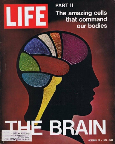 ORIGINAL Vintage Life Magazine October 22 1971 The Brain