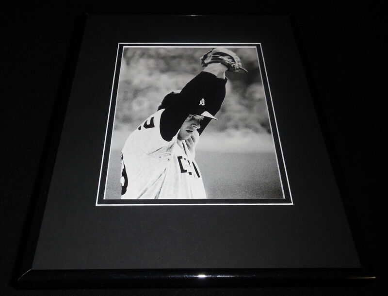 Denny McLain Detroit Tigers Framed 11x14 Photo Display 