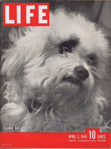 ORIGINAL Vintage Life Magazine April 3 1944 Glamor Dog