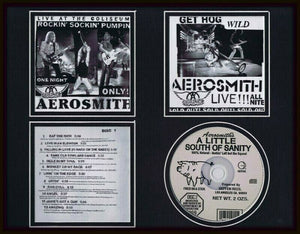 Aerosmith 1998 A Little South of Sanity Framed 11x14 CD & Photo Display