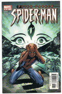 Peter Parker Spider-Man #40 VINTAGE 2002 Marvel Comics