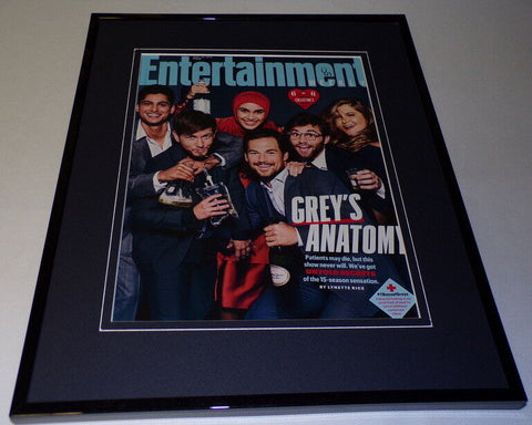 Grey's Anatomy Cast 2018 Entertainment Weekly Framed ORIGINAL Cover Display 