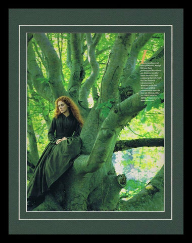 Meryl Streep in a Tree 1986 Framed 11x14 Photo Display 