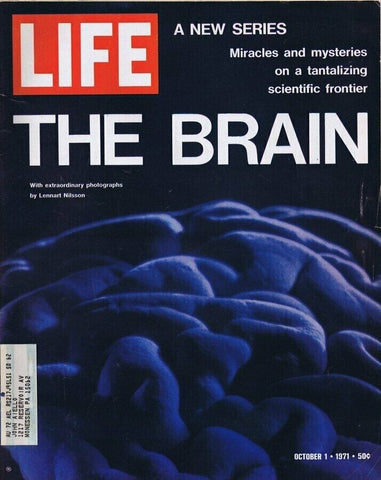 ORIGINAL Vintage Life Magazine October 1 1971 The Brain