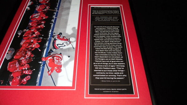 1995-96 Detroit Red Wings Team Overhead 12x18 Framed Photo Display 