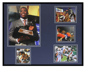 Cam Newton Framed 16x20 Photo Collage 2010 Auburn Tigers Heisman Winner