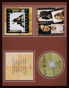 Ace of Base Vintage 1995 The Bridge Framed 11x14 CD & Photo Display