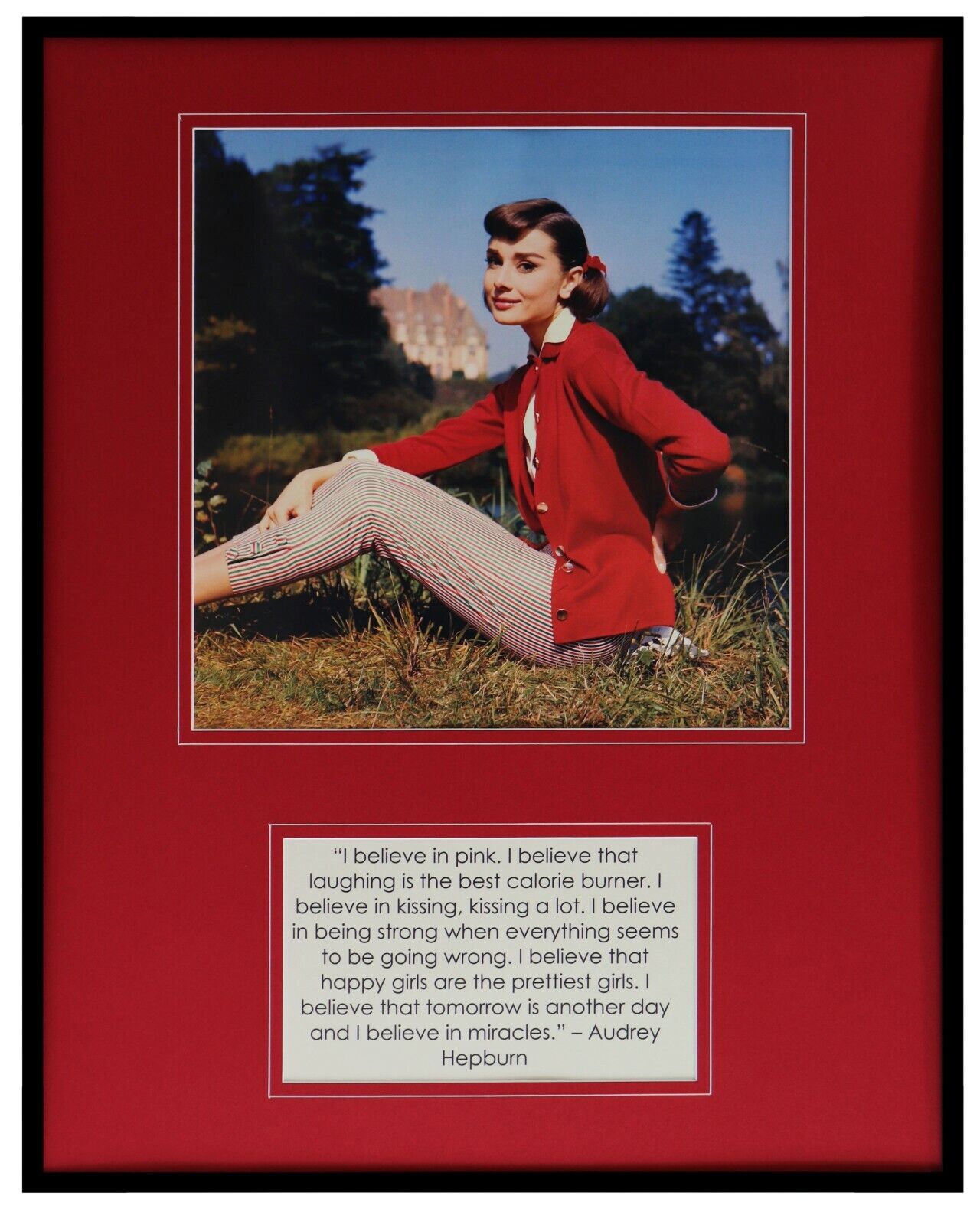 Audrey Hepburn Framed 16x20  Believe in Pink Quote + Photo Display 