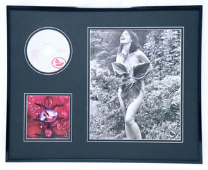 Bjork 16x20 Framed CD & Photo Display