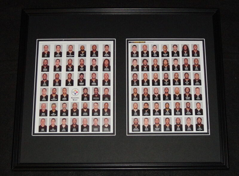 2009 Pittsburgh Steelers Super Bowl 43 Champs Team Framed 16x20 Photo Display