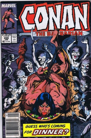 Conan the Barbarian #228 ORIGINAL Vintage 1990 Marvel Comics 