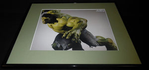 Avengers Incredible Hulk Bruce Banner Mark Ruffalo Framed 16x20 Poster Display 