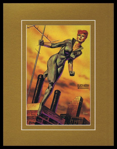 Black Widow 1993 Framed 11x14 Marvel Masterpieces Poster Display 