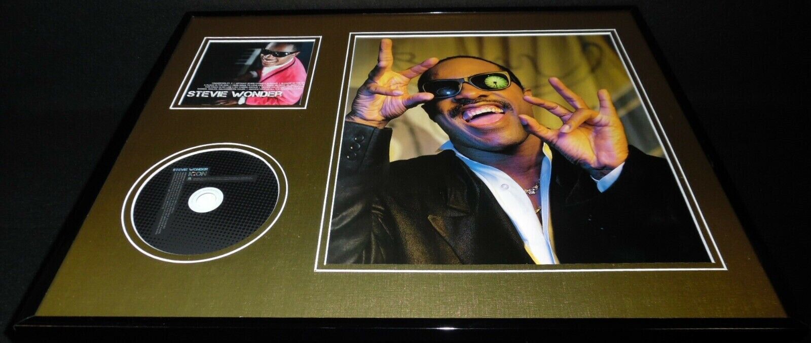 Stevie Wonder 16x20 Framed Icon CD & Photo Display