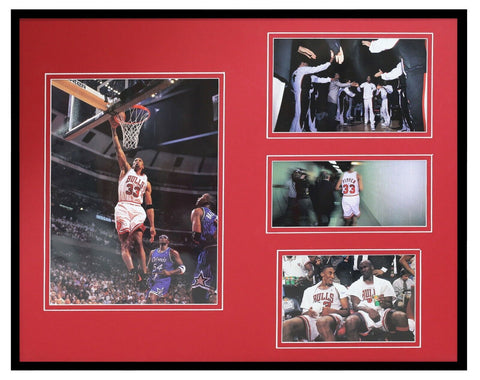 Scottie Pippen 1995 Chicago Bulls Framed 16x20 Photo Collage 