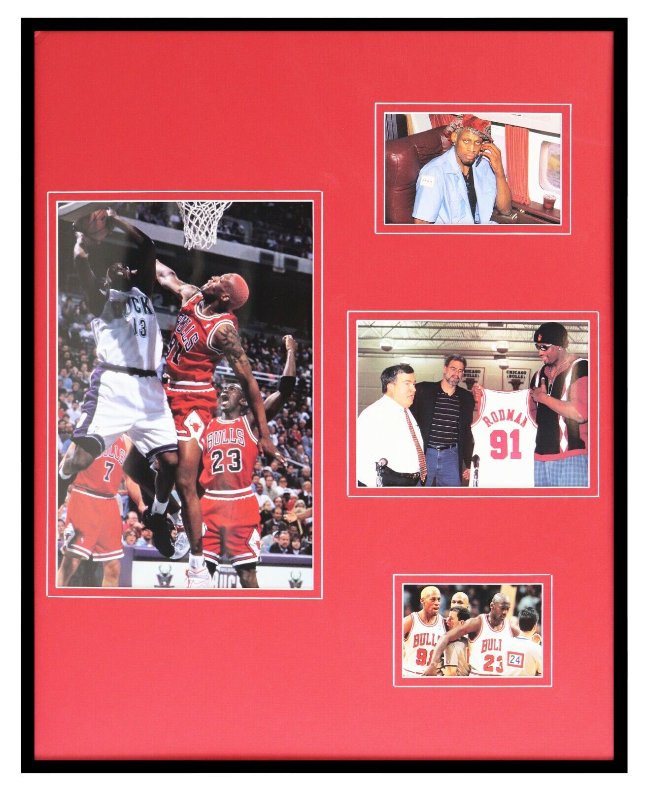 Dennis Rodman 1995 Chicago Bulls Framed 16x20 Photo Collage