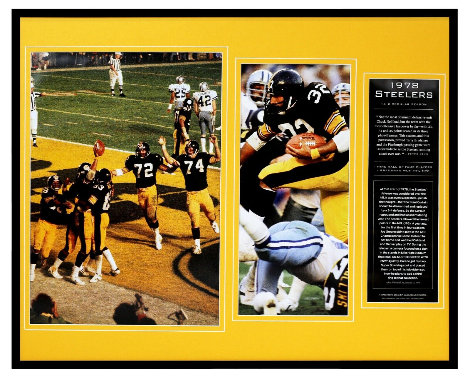 1978 Pittsburgh Steelers Team Framed 16x20 Photo Display Franco Harris