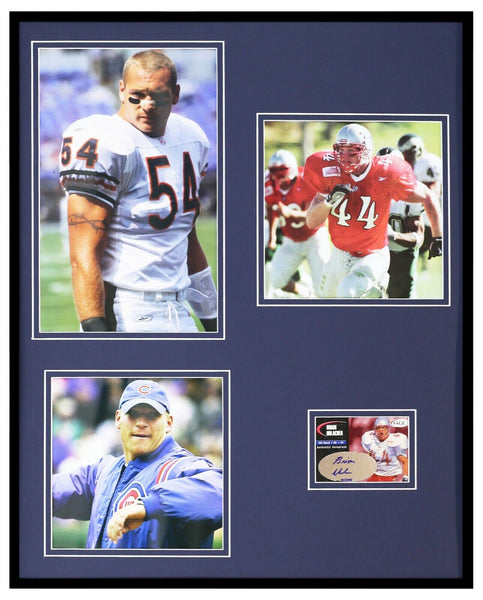 Brian Urlacher Signed Framed 16x20 Rookie Card & Photo Set SAGE Bears 