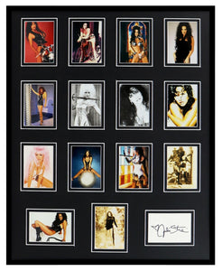 Julie Strain Signed Framed 16x20 Comic Images 1996 Card Set Display