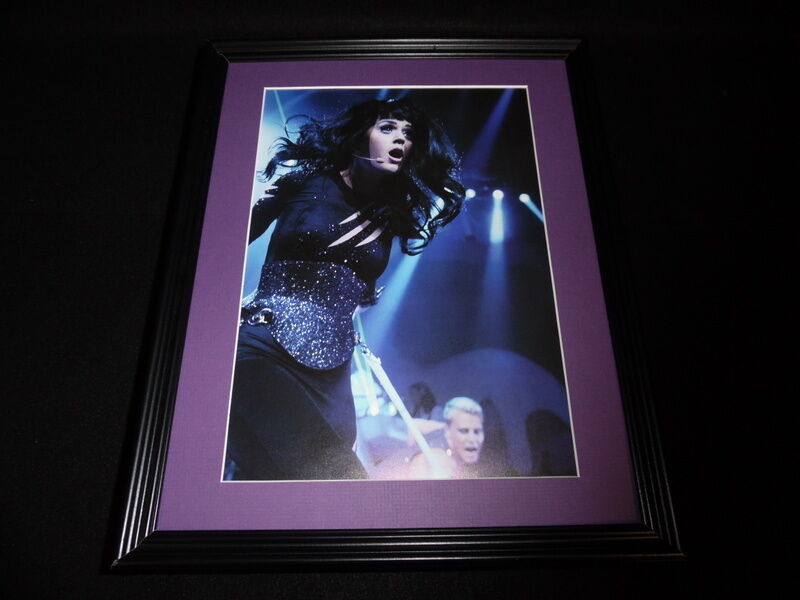 Katy Perry 2010 Los Angeles concert Framed 11x14 Photo Display B