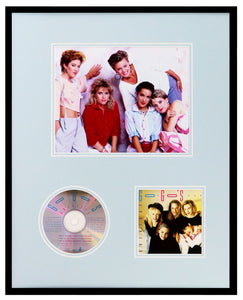 The Go Gos Framed 16x20 Greatest Hits CD & Photo Display