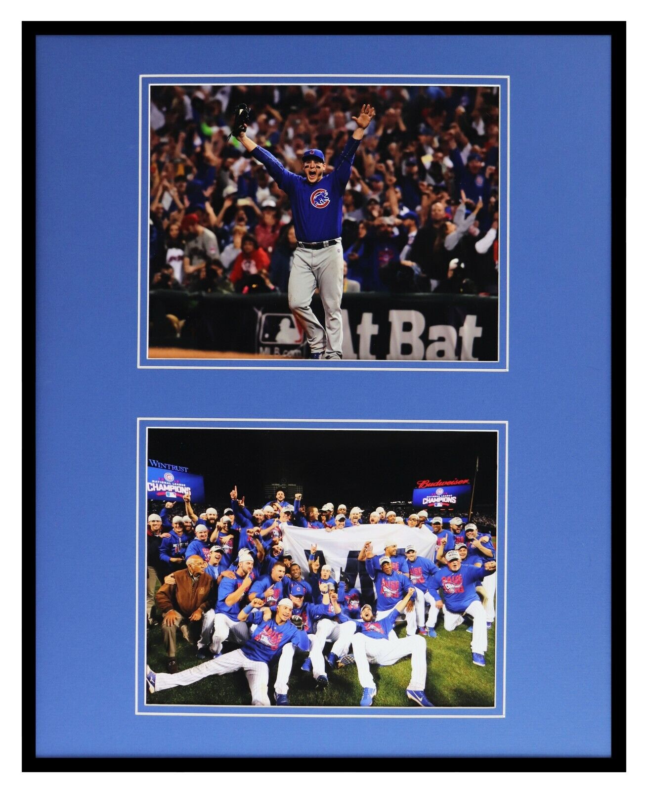 2016 Chicago Cubs World Series Champs / Anthony Rizzo Framed 16x20 Photo Display