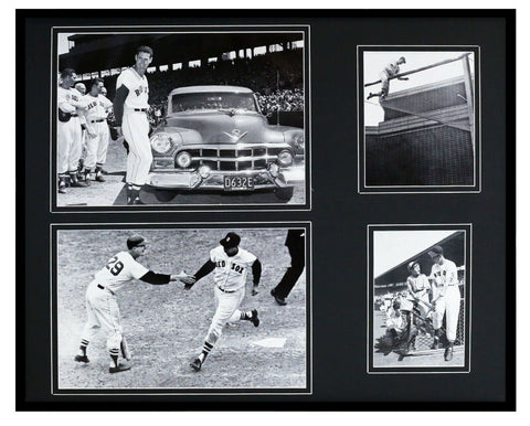 Ted Williams Red Sox Framed 16x20 Photo Collage Display