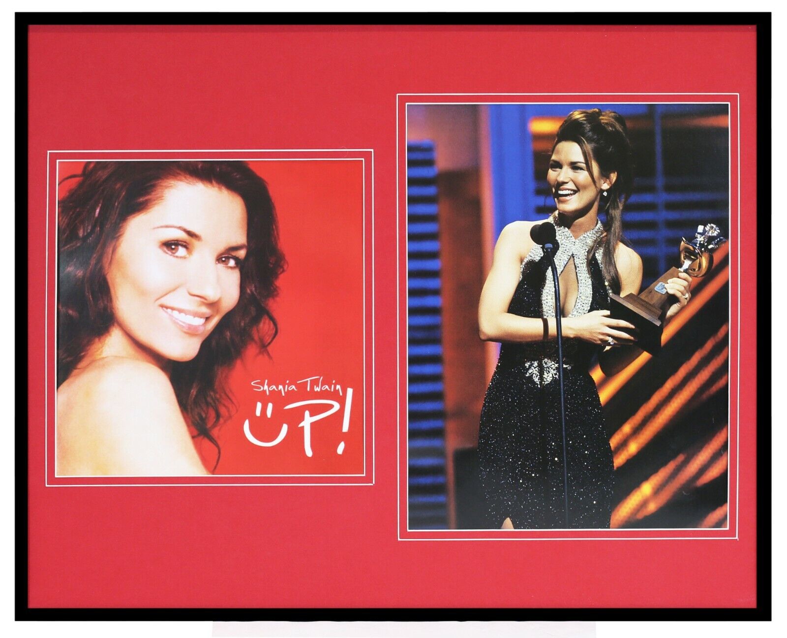 Shania Twain Framed 16x20 Photo & Up! Cover Display