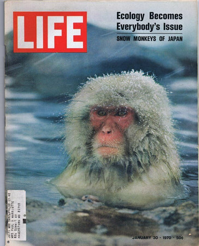 ORIGINAL Vintage Life Magazine January 30 1970 Snow Monkeys of Japan